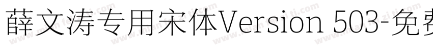 薛文涛专用宋体Version 503字体转换